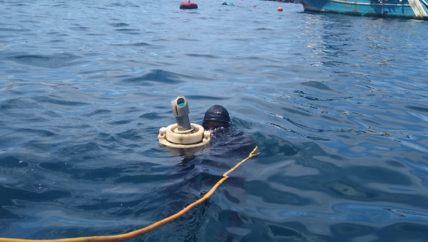 service_olas